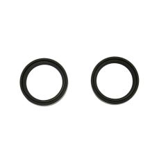 FORK SEAL 42X54X11