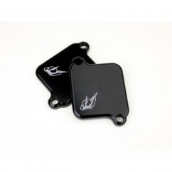 Plaques de suppression du système Antipollution - SUZUKI - GSX-R750 01-05