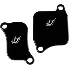 Plaques de suppression du système Antipollution - TRIUMPH - 675R Street Triple 11-15