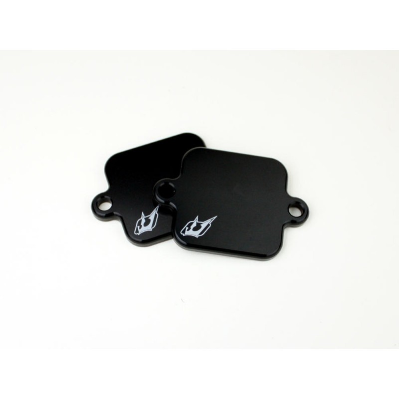 Plaques de suppression du système Antipollution - YAMAHA - FZ6 07-12