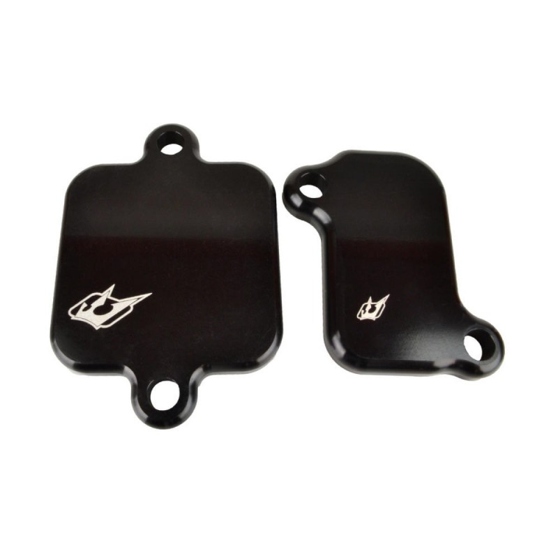 Plaques de suppression du système Antipollution - YAMAHA - MT-09 14-15