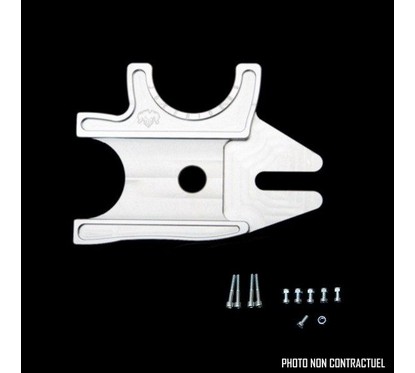 Platine Double - YFZ-R6 03-05