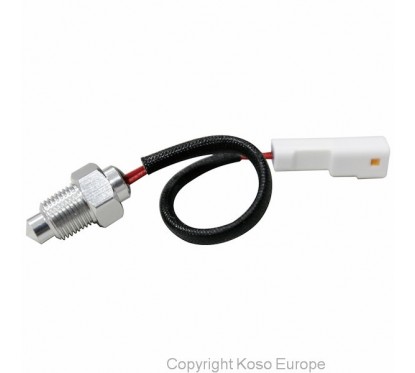 Sonde de Température PT1/8x28 - 250°C Koso universel