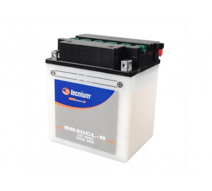 Batterie TECNIUM 12v - 30ah - YB30CL-B - 168*132*192