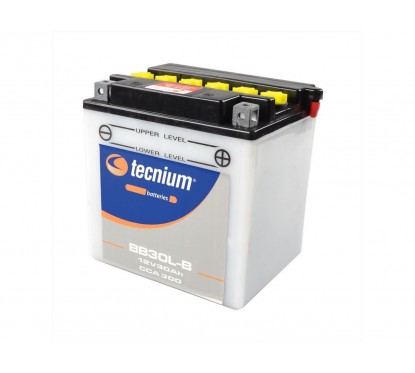 Batterie TECNIUM 12v - 30ah - YB30L-B - 168*132*176