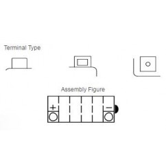 Batterie YUASA YB14-B2 conventionnelle