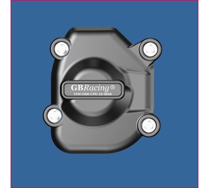 Protection allumage GB RACING - KAWASAKI Z 800E 2013
