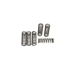 CLUTCH SPRING KIT (6 PCS)