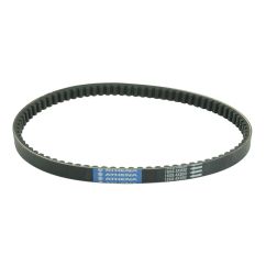 TRANSMISSION BELT STANDARD - 11420134