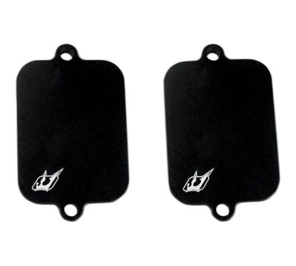 Plaques de suppression du système Antipollution - KAWASAKI - ZRX1200 02-05