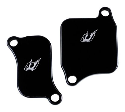 Plaques de suppression du système Antipollution - TRIUMPH - 675 Daytona 08-15