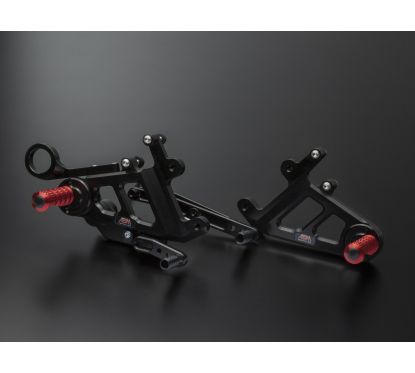 Commandes Reculées ABM "RaceFlex" - SUZUKI - GSX-S 1000 F ABS 2015 -