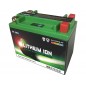 Batterie SKYRICH Lithium Ion LTX20L-BS sans entretien