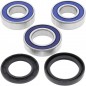 WHEEL BEARING KIT 25-1111