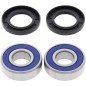 WHEEL BEARING KIT 25-1379