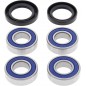 WHEEL BEARING KIT 25-1381