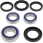 WHEEL BEARING KIT 25-1392