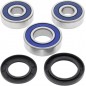 BEARING KIT WHL 25-1280