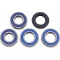 BEARINGS WHL RR KTM