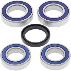 BEARING KIT WHEEL R DUC