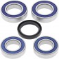 BEARING KIT WHEEL R DUC