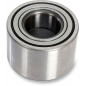 ATV/UTV WHEEL BEARING KI