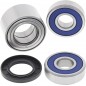 REAR WHEEL BEARING KIT 2