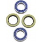 BEARING KIT WHEEL FRT JAP