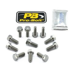 BRAKE ROTOR BOLT KIT TITANIUM - 17104126