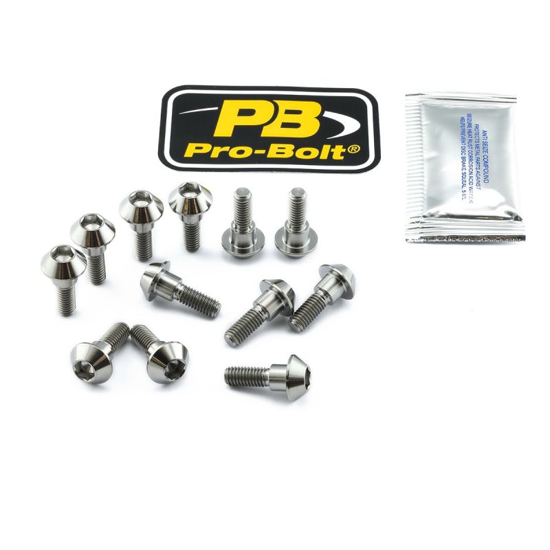 BRAKE ROTOR BOLT KIT TITANIUM - 17104134
