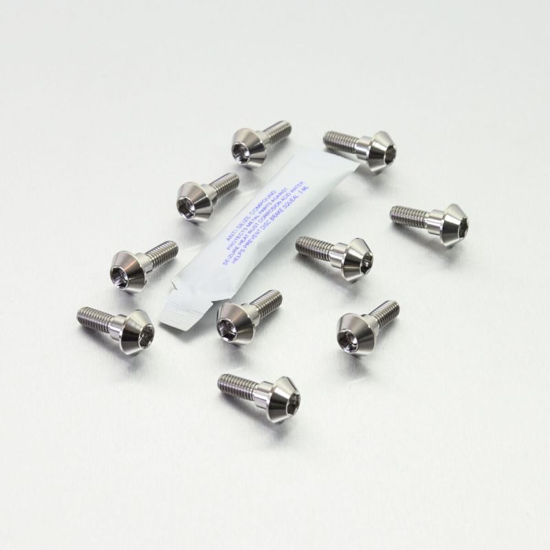 BRAKE ROTOR BOLT KIT TITANIUM - 17104135