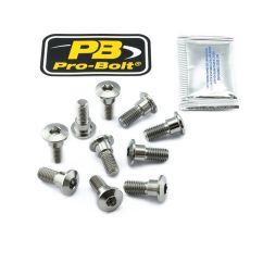 BRAKE ROTOR BOLT KIT TITANIUM - 17104137