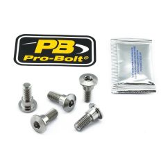 BRAKE ROTOR BOLT KIT TITANIUM - 17104138