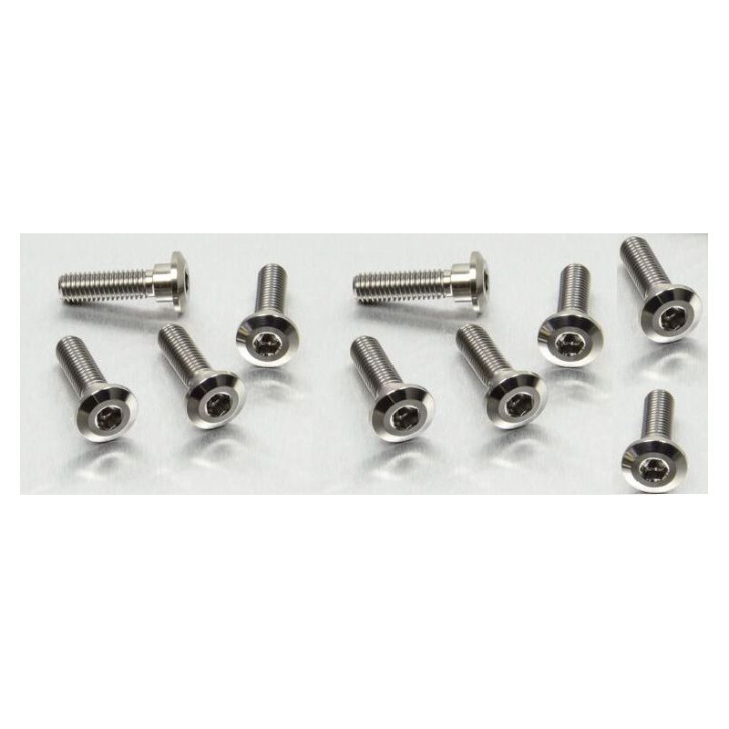 BRAKE ROTOR BOLT KIT TITANIUM - 17104139