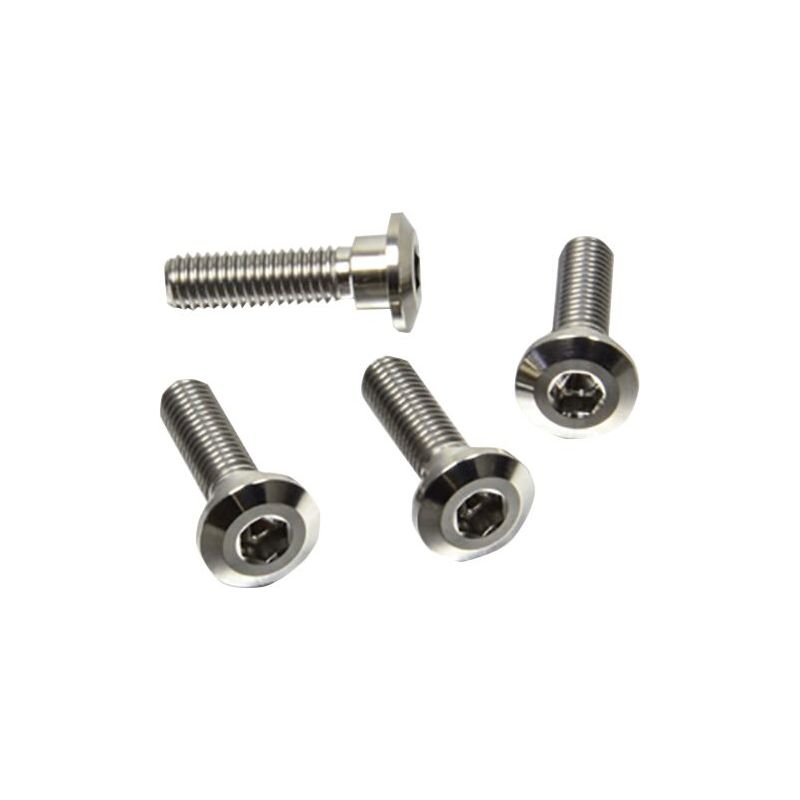 BRAKE ROTOR BOLT KIT TITANIUM - 17104140