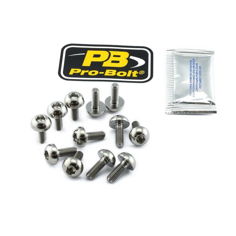 BRAKE ROTOR BOLT KIT TITANIUM - 17104143