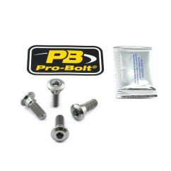 BRAKE ROTOR BOLT KIT TITANIUM - 17104144