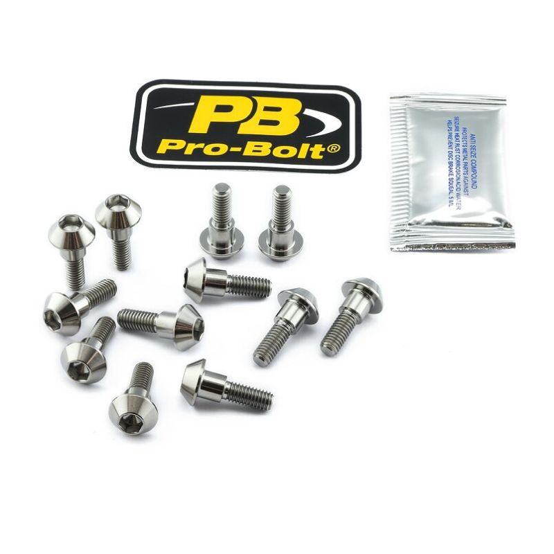 BRAKE ROTOR BOLT KIT TITANIUM - 17104146