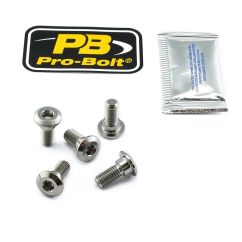BRAKE ROTOR BOLT KIT TITANIUM - 17104149