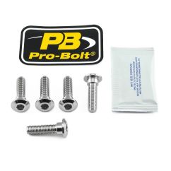 BRAKE ROTOR MOUNTING BOLT KIT STAINLESS STEEL - 17104270