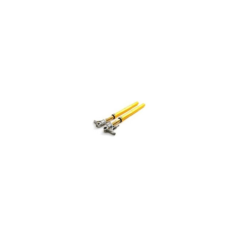 Fourche OHLINS R1 2009-2014