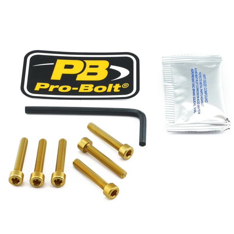 BOLT KIT FUEL CAP GOLD