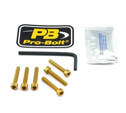 BOLT KIT FUEL CAP GOLD