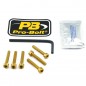 BOLT KIT FUEL CAP GOLD