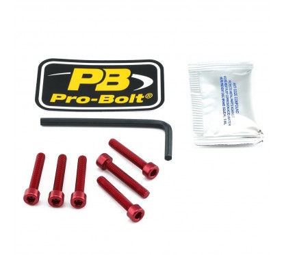 BOLT KIT FUEL CAP RED