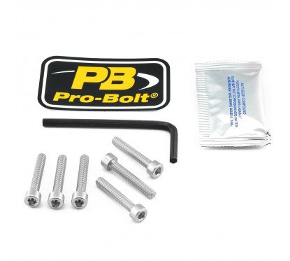 BOLT KIT FUEL CAP SILVER