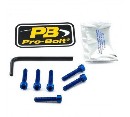 BOLT KIT FUEL CAP BLUE