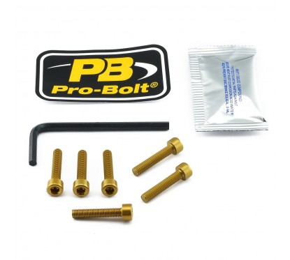 BOLT KIT FUEL CAP GOLD