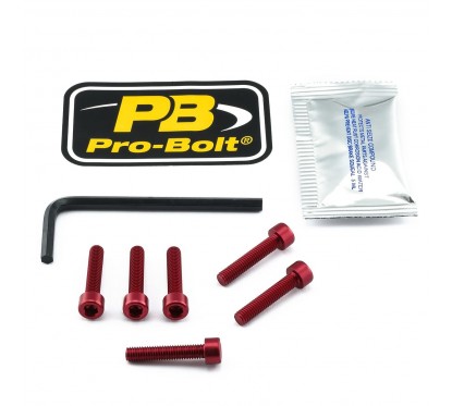 BOLT KIT FUEL CAP RED