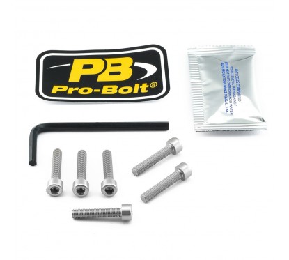 BOLT KIT FUEL CAP SILVER